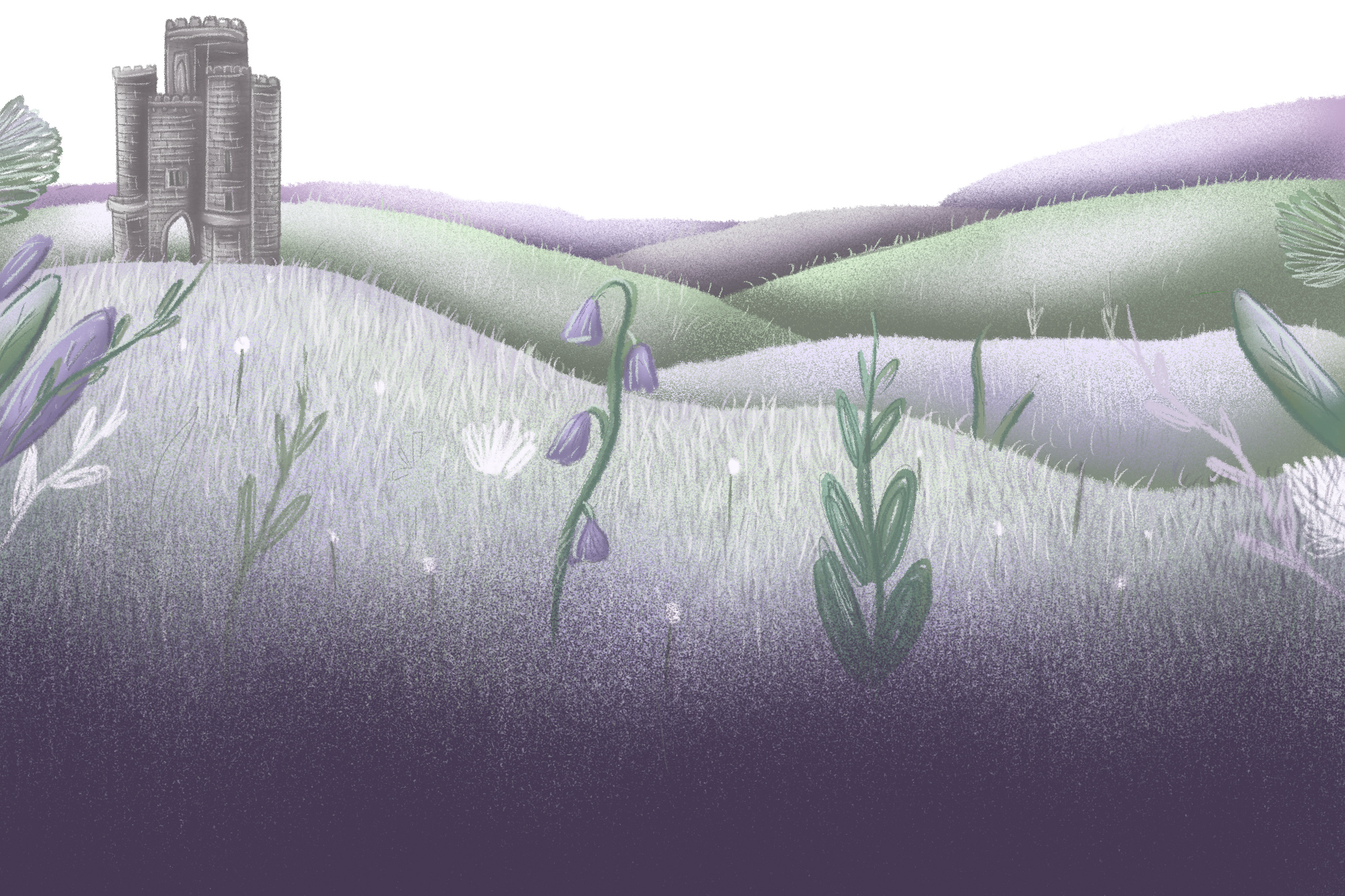 An illustrated countryside landscape including hills, wildflowers and Paxtons Tower