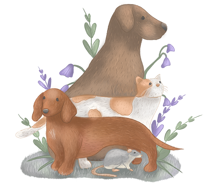 An illustration of two dogs, a cat and a rat