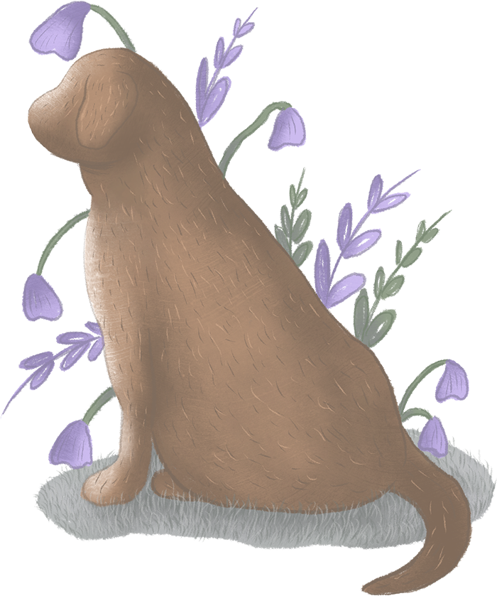 An illustration of a dog sitting amongst wildflowers